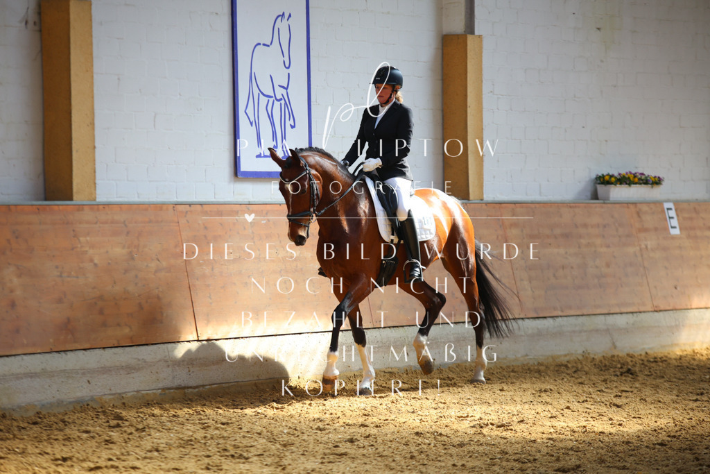 IMGT6977 | pl-fotografie