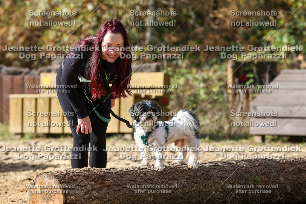 Dog Paparazzi - Strongdog 10-25-5678 | Dog Paparazzi Jeanette Grottendiek Fotografie & Videografie - Realisiert mit Pictrs.com