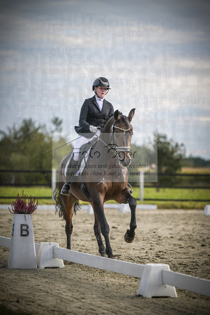 DOS_1720 | Entdecke hochwertige Reitturnierfotos von Foto Oger. Professionell, emotional und authentisch – jetzt Lieblingsmomente im Shop bestellen.Deutschlandweite Turnierfotografie. - Realisiert mit Pictrs.com