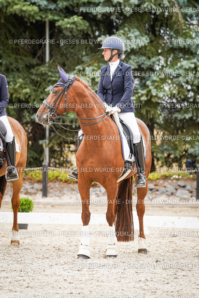 DSC08038 | Pferdegrafie