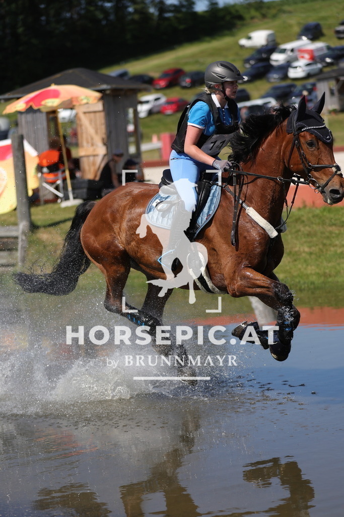 0P6A5856 | Willkommen bei Brunnmayr - Design & Fotografie – Ihrem Spezialisten für Reitturniere und Pferdeveranstaltungen in Oberösterreich, Salzburg und Bayern! Seit über 17 Jahren sind wir leidenschaftlich dabei.