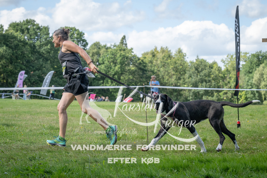 1550_ZZ94507 | kk-dogfotos