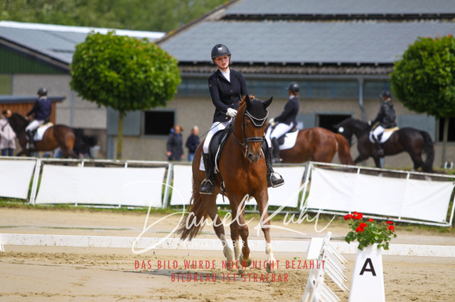 DKP40702 | Turniersportfotografie; Pferdefotografie; Dressurfotografie