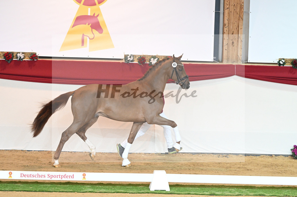 Kat-Nr. 80 Viva Gold_Buergers_1230456 | hf-fotografie - Realisiert mit Pictrs.com