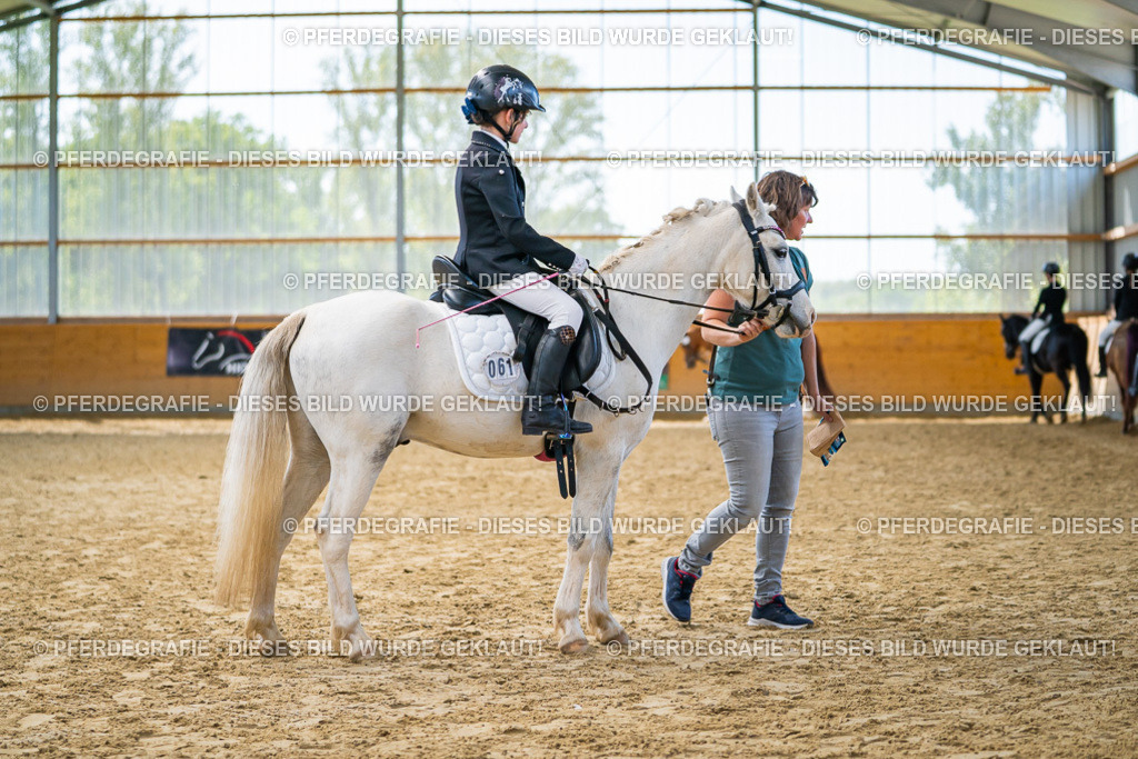 DSC01258 | Pferdegrafie