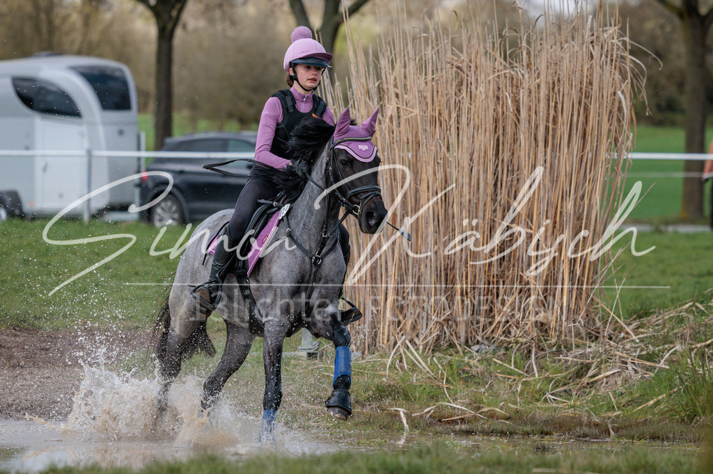 20260329-_3LI4791 | Tierfotografie Pferde, Hunde, Katzen, Haustiere.
Turnierfotografie Reitturniere, Reiten, Springreiten, Dressur in Hanau, dem Main-Kinzig-Kreis und dem Rhein-Main- Gebiet um Frankfurt