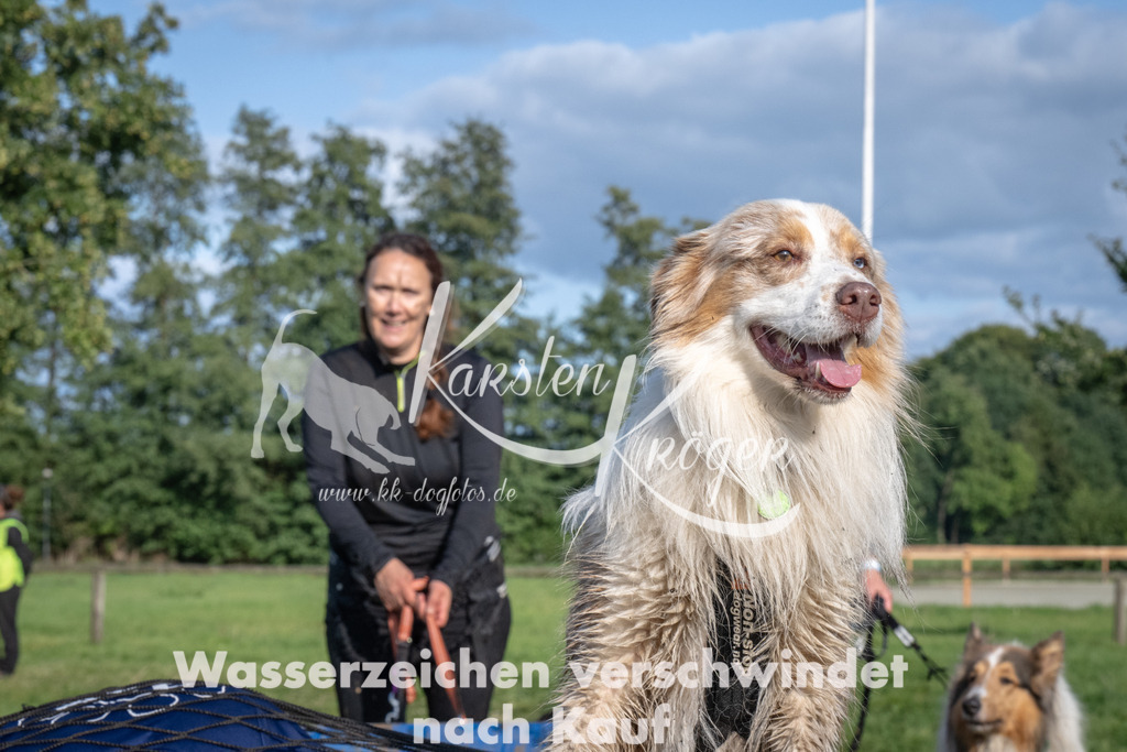 1641_ZZ92799 | kk-dogfotos