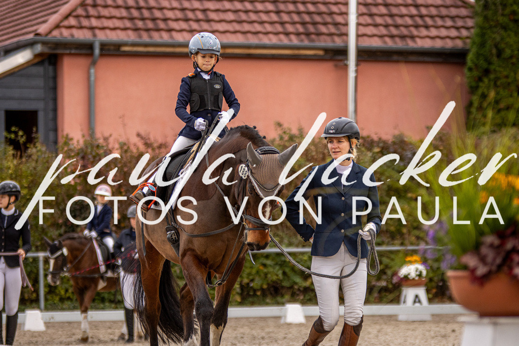 IMG_3966 | Erleben Sie dynamische Sport- und emotionale Tierfotografie in Süddeutschland mit Fotos von Paula. Spezialisiert auf Pferde- und Hundefotografie sowie Sportevents. Kontaktieren Sie mich für einzigartige und ausdrucksstarke Bilder Ihrer besonderen Momente. - Realisiert mit Pictrs.com