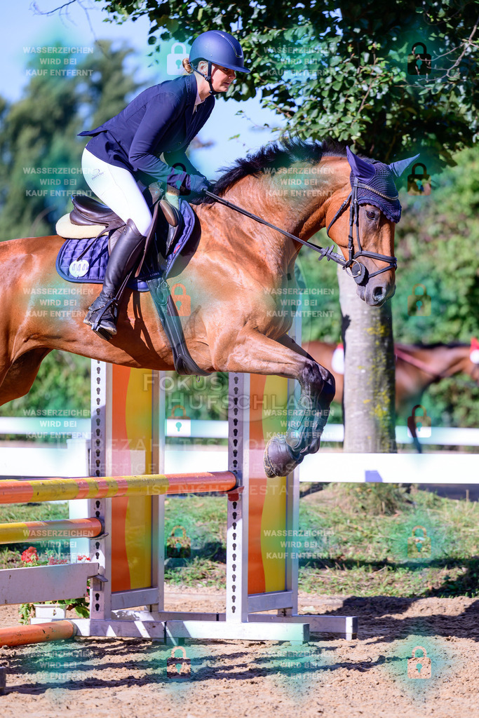 30082026-Giesenbach-Prfg16-0245 | Fokus Hufschlag Fotografie - Realisiert mit Pictrs.com