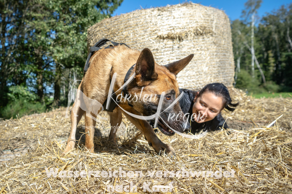 1244_ZZ92046-2 | kk-dogfotos