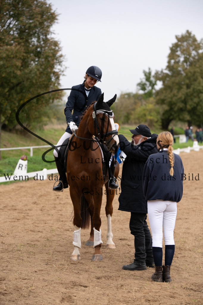 A7V05528 | Pferdefotograf