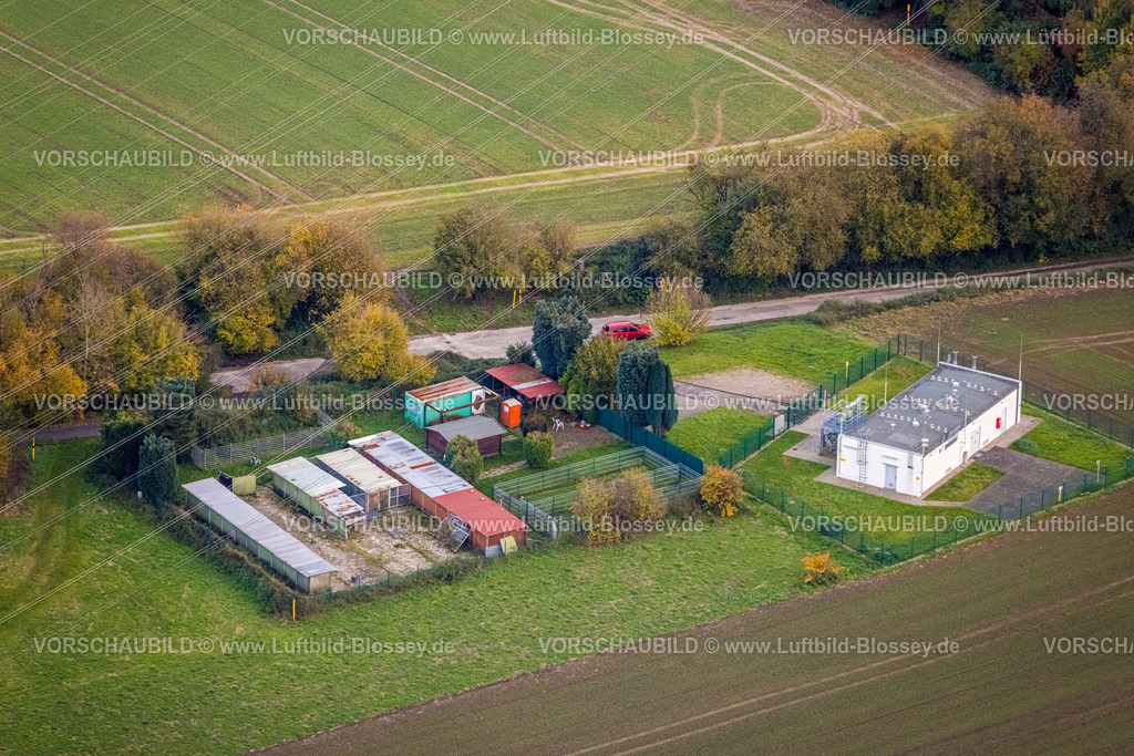 Bochum231102277 | Luftbild, Tierheim Bochum Laubenkolonie Tierschutzorganisation inmitten von herbstlichen Laubbäumen, geplantes Gelände für das Bundesligastadion Vonovia Ruhrstadion des Fußballvereins VfL Bochum 1848, Langendreer, Bochum, Ruhrgebiet, Nordrhein-Westfalen, Deutschland