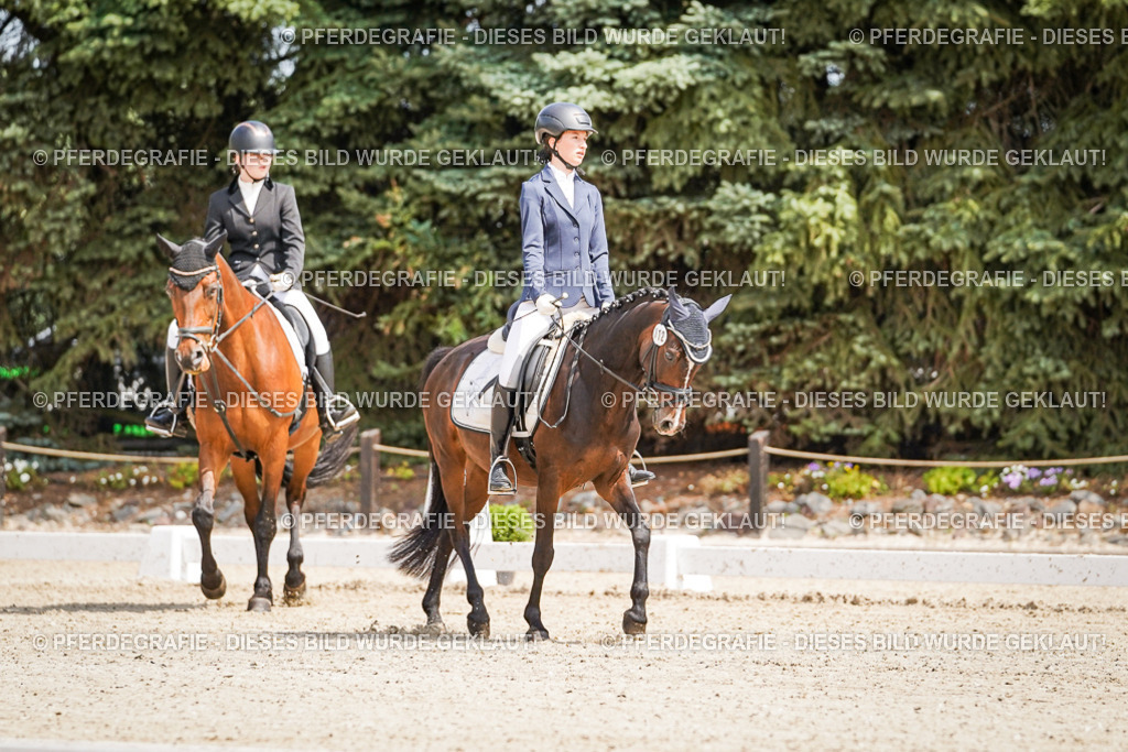 DSC02459 | Pferdegrafie