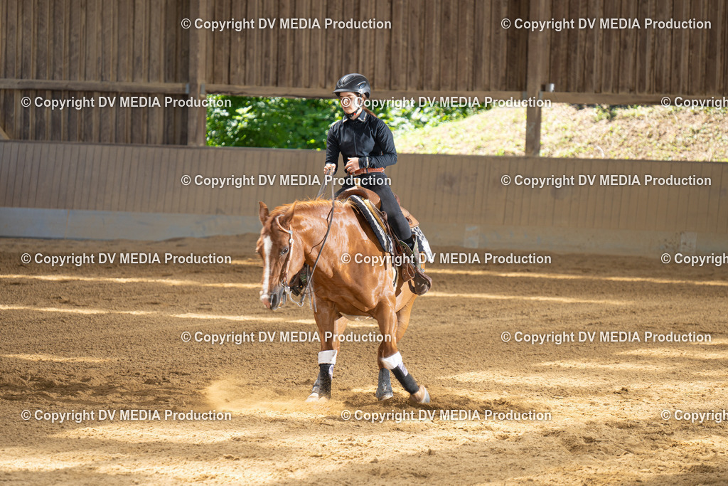 DSC00035 | dv-media-shop - Realisiert mit Pictrs.com