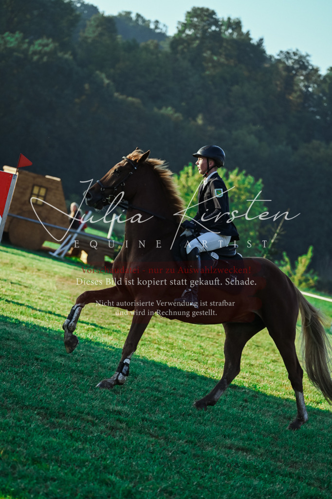 DSC_3758 | Pferde- und Turnierfotografie in Westsachsen. Pferdeportraits, Auftragszeichnungen und intuitive Kunst.