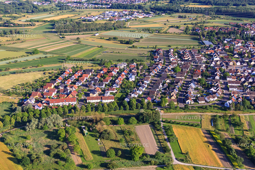 Allmendstr | Luftbild: Allmendstr in Au am Rhein im Bundesland Baden-Württemberg in Deutschland. Foto: IMG_66540.jpg vom 05.06.2014 durch Werner Riehm/FLY-FOTO.de - Realisiert mit Pictrs.com