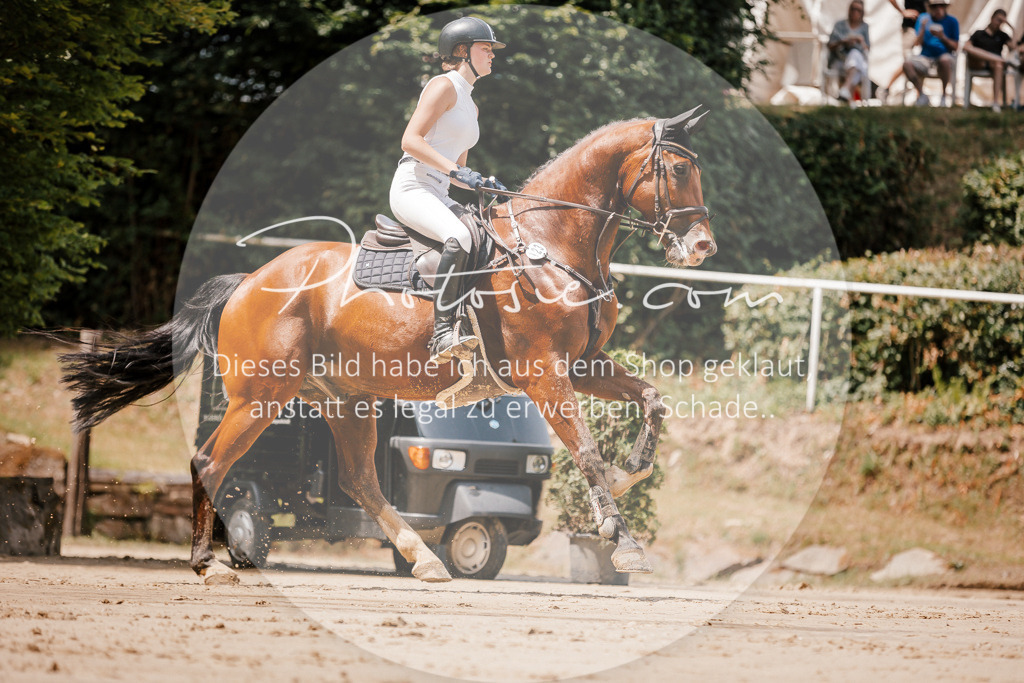 3I6A7816 | Stimmungsvolle Portraits und Reitsportfotografie im Ruhrgebiet und im Münsterland.

Pferdefotografie, Hundefotografie, Tierfotografie, Reportagen, Portraits von Tier und Mensch, Turnierfotografie in Bochum, Recklinghausen, Marl, Haltern am See, Dülmen.. - Realisiert mit Pictrs.com