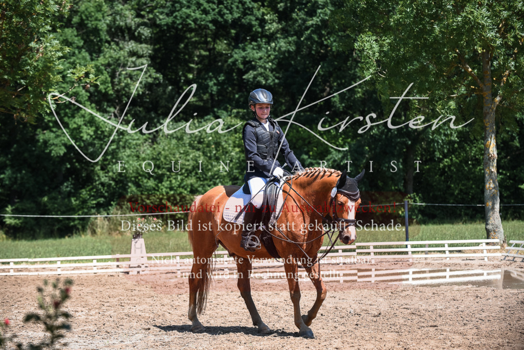 DSC_3295 | Pferde- und Turnierfotografie in Westsachsen. Pferdeportraits, Auftragszeichnungen und intuitive Kunst.