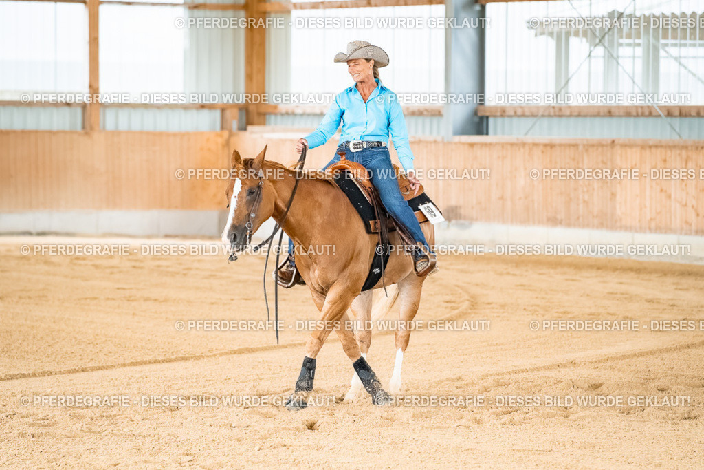 DSC02134 | Pferdegrafie