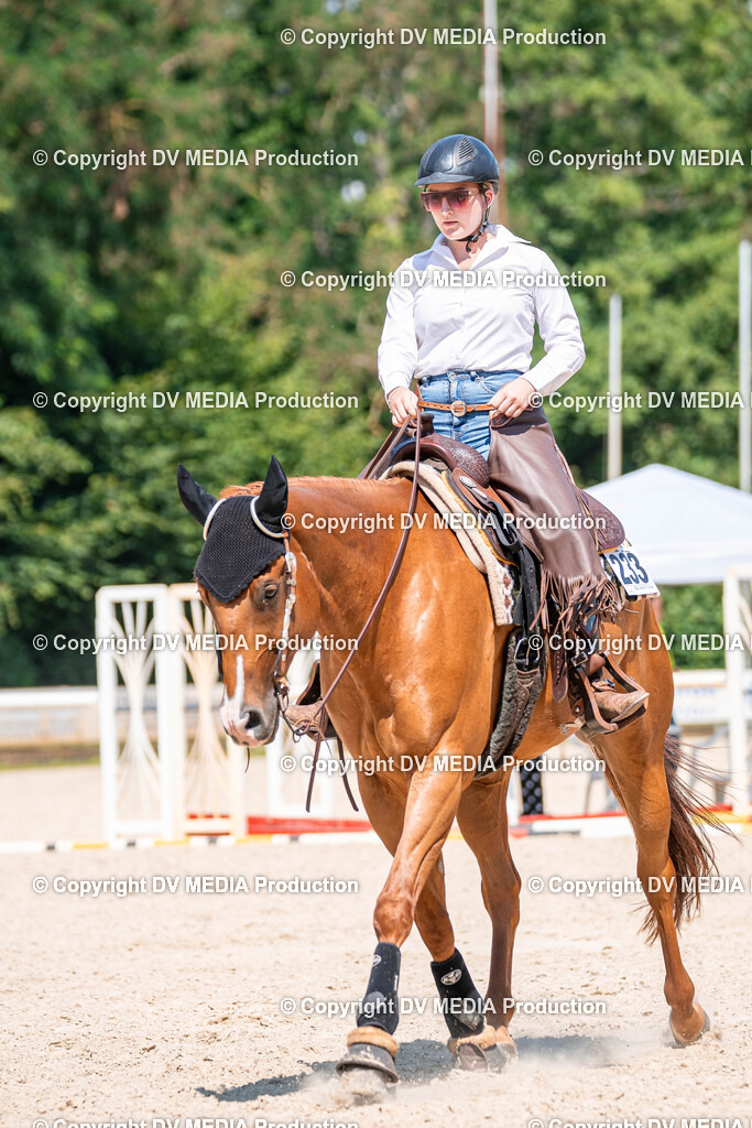 Zeiskam Tag 1-938 | dv-media-shop - Realisiert mit Pictrs.com