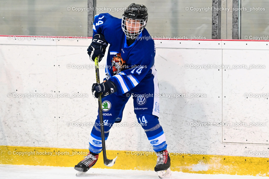  EC Tigers Paternion vs. EC Virgen 8.1.2022 | #14 Tschurnig Daniel