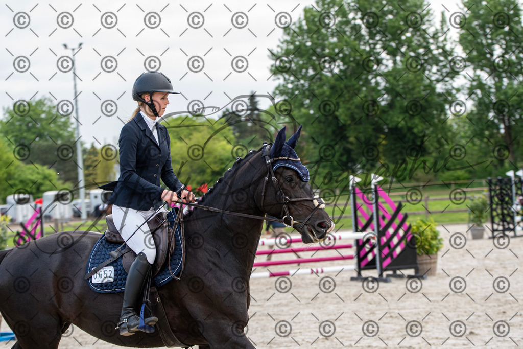 KPT_7703 | andre_photographic