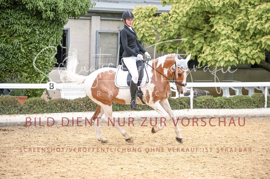 Schugtsche-Aluta25-44.DresssurreiterWB-166 | Schugtsche Fotografie - Realisiert mit Pictrs.com