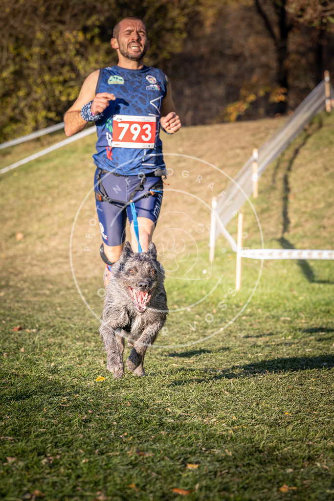 CaniXpix_0L8A0228 | Hundefotografie, Tierfotograf, Pfotenfotografie, Fotoshooting Hund, Hunde Portrait, Hundesport, Hundeportraits, Heideshooting, Hunde, Sportfotograf, Hundefotograf, Turnierhundsport, THS,  - Realisiert mit Pictrs.com