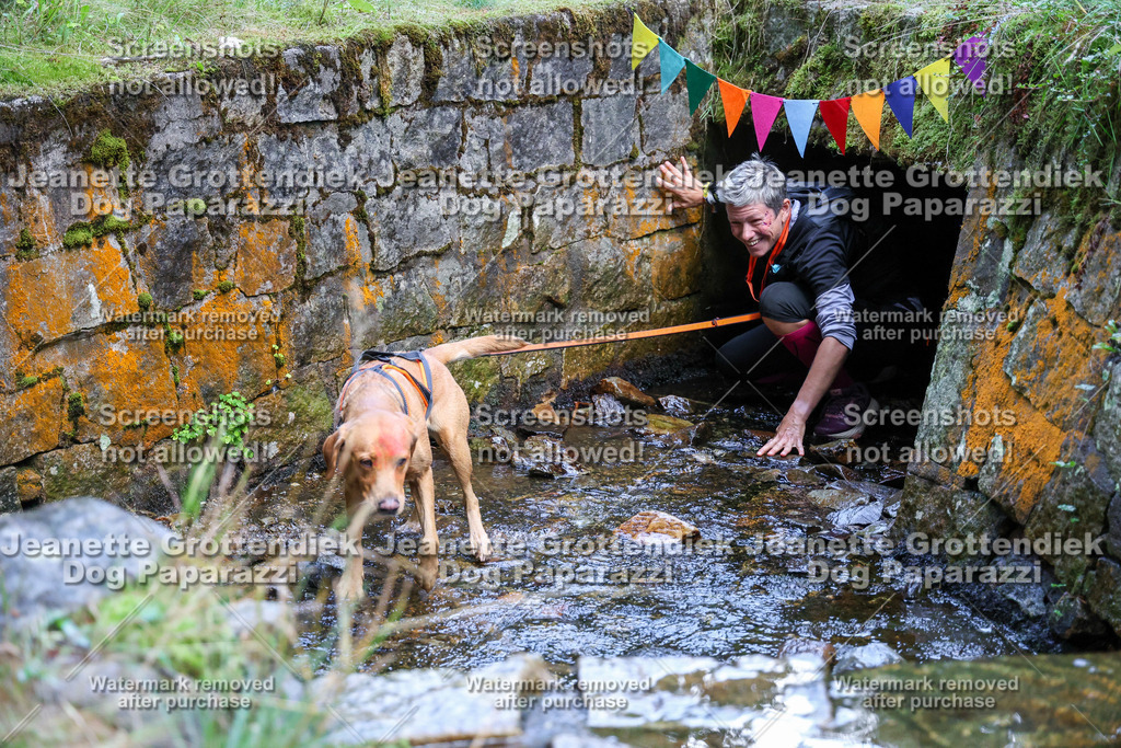 Dog Paparazzi -  TH 26-611 | Dog Paparazzi Jeanette Grottendiek Fotografie & Videografie - Realisiert mit Pictrs.com