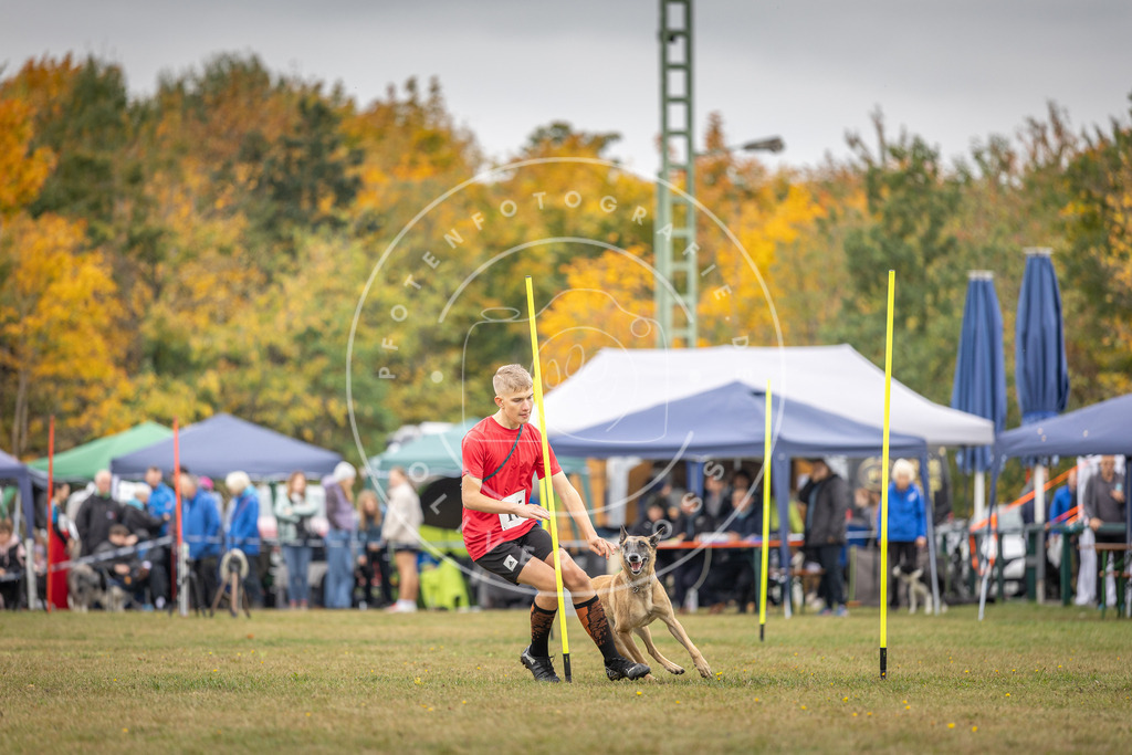 Pfotenfotografie_DV3A5259 | Hundefotografie, Tierfotograf, Pfotenfotografie, Fotoshooting Hund, Hunde Portrait, Hundesport, Hundeportraits, Heideshooting, Hunde, Sportfotograf, Hundefotograf, Turnierhundsport, THS,  - Realisiert mit Pictrs.com