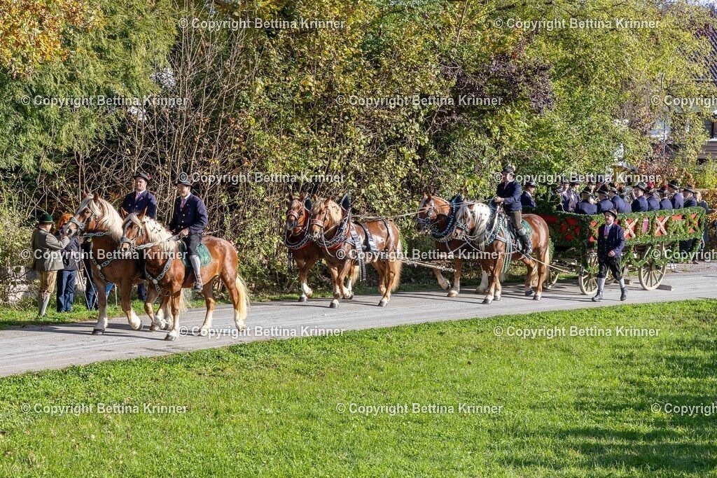 LBT24-277 | foto-bettina-krinner - Realisiert mit Pictrs.com