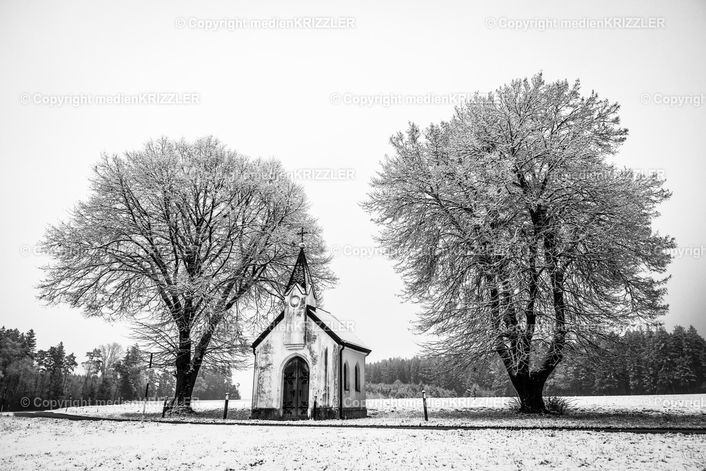 _J3A9479 | medienkrizzler - Realisiert mit Pictrs.com