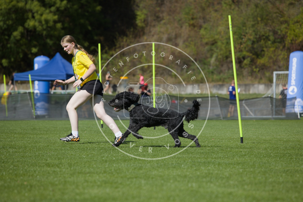 0L8A6018 | Hundefotografie, Tierfotograf, Pfotenfotografie, Fotoshooting Hund, Hunde Portrait, Hundesport, Hundeportraits, Heideshooting, Hunde, Sportfotograf, Hundefotograf, Turnierhundsport, THS,  - Realisiert mit Pictrs.com