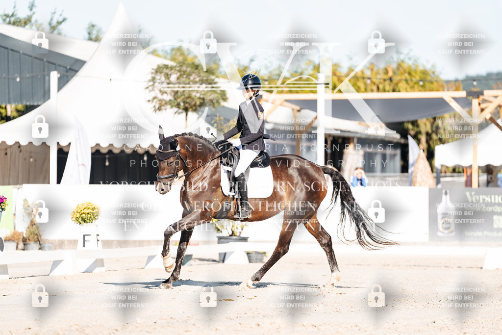 CK907196 | Turnierfotografie Pferdefotografie Trier Rheinland-Pfalz Pferdesport Reitsport Tierfotografie Sportfotografie Pferdevideo Pferdevideografie Equestrianvideography equestrianphotography  - Realisiert mit Pictrs.com
