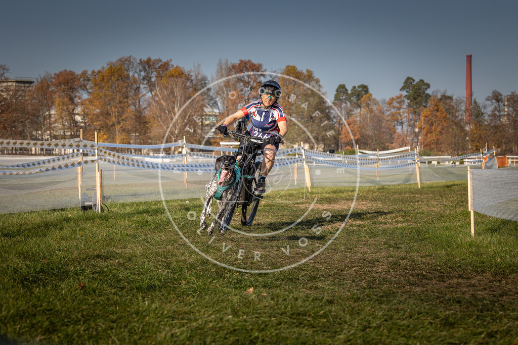 CaniXpix_0L8A7646 | Hundefotografie, Tierfotograf, Pfotenfotografie, Fotoshooting Hund, Hunde Portrait, Hundesport, Hundeportraits, Heideshooting, Hunde, Sportfotograf, Hundefotograf, Turnierhundsport, THS,  - Realisiert mit Pictrs.com