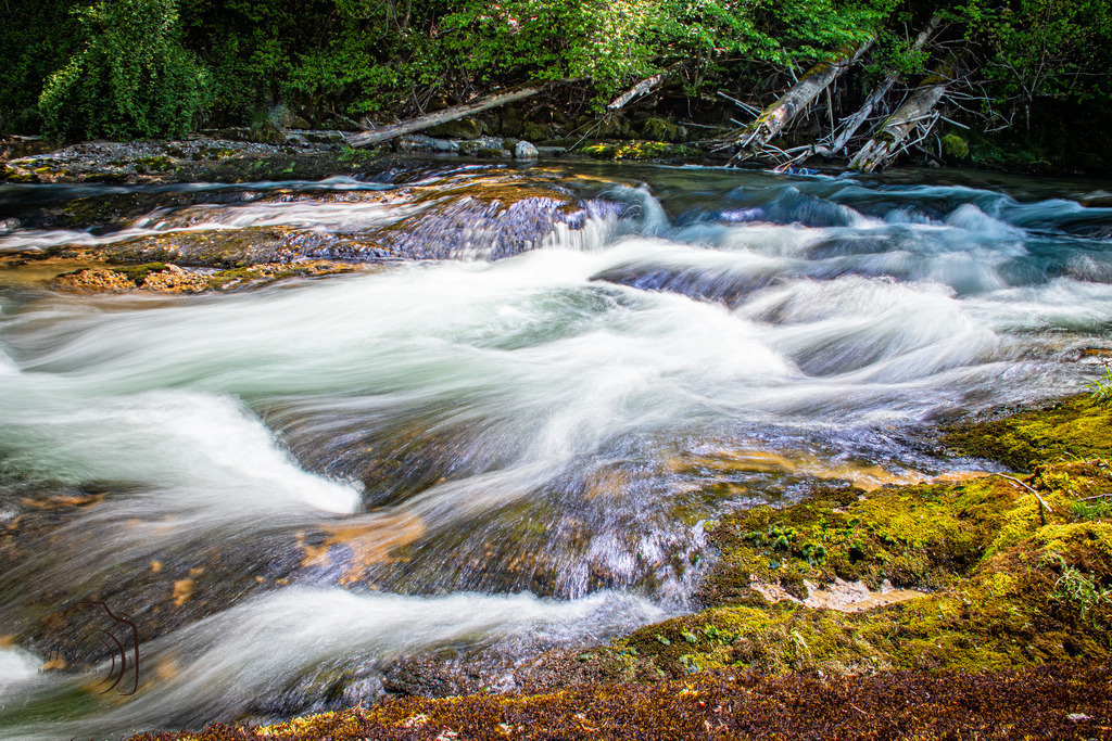 Thur | Holzisphotography, Landschaftsfotografie, Wildlifefotogorafie - Realisiert mit Pictrs.com