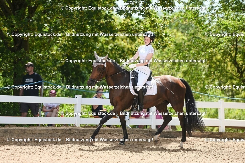 20230715_09_Dressur-WB_0275 | equistock