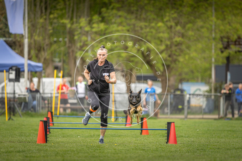 Pfotenfotografie_DV3A8352 | Hundefotografie, Tierfotograf, Pfotenfotografie, Fotoshooting Hund, Hunde Portrait, Hundesport, Hundeportraits, Heideshooting, Hunde, Sportfotograf, Hundefotograf, Turnierhundsport, THS,  - Realisiert mit Pictrs.com