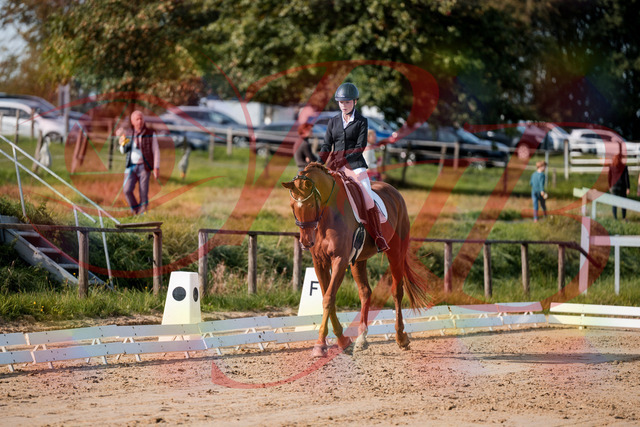 2026_10_03_Siefer-Hof_114216_Z63_23684624 | Professionelle Reitsport-, Turnier- und Eventfotografie von Robert Broda. Galerien mit ausgewählten und bearbeiteten Bildern direkt online ansehen und bestellen.