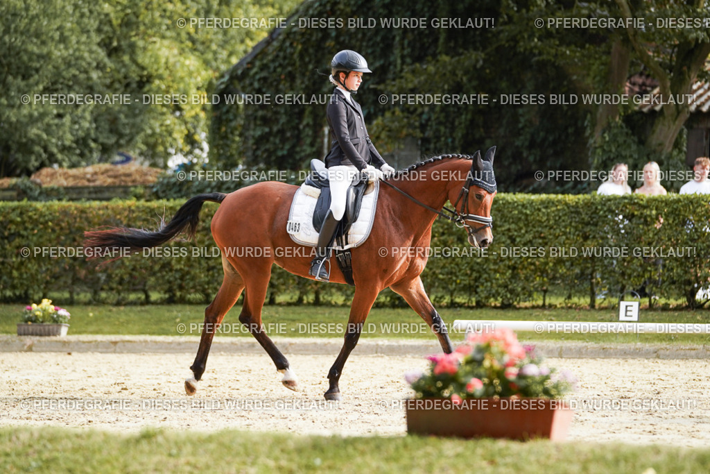 DSC05103 | Pferdegrafie