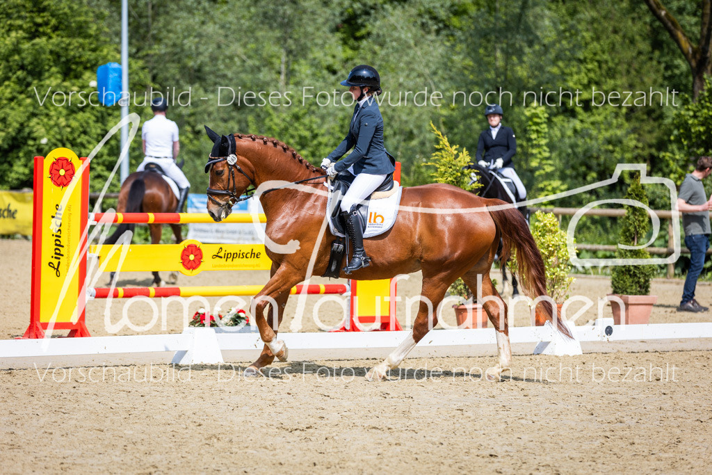 Donop24-L-Dre-022 | MomenTaufnahmen Pferdesportfotos