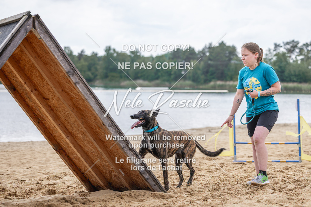 nelerasche_BuHu2026_So1530-Ende_110 | nelerasche