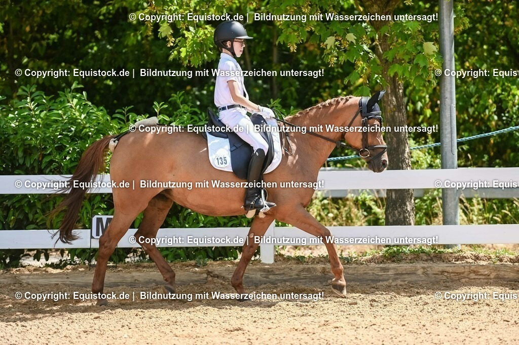 20230715_09_Dressur-WB_0387 | equistock