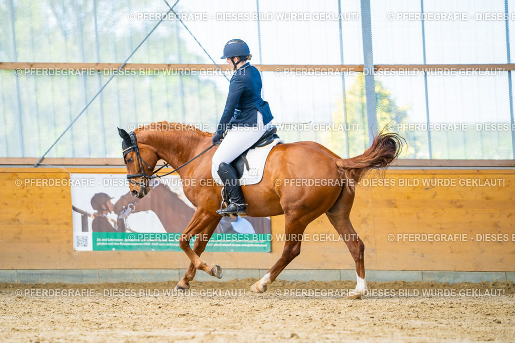 DSC07544 | Pferdegrafie