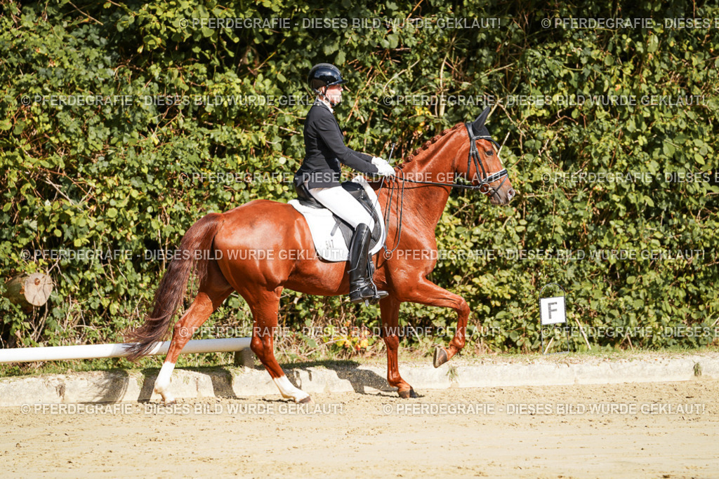 DSC08575 | Pferdegrafie