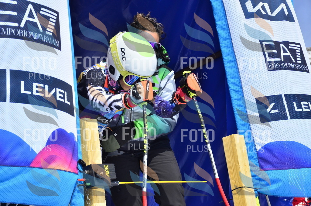 _ELE1542 | holidayphoto