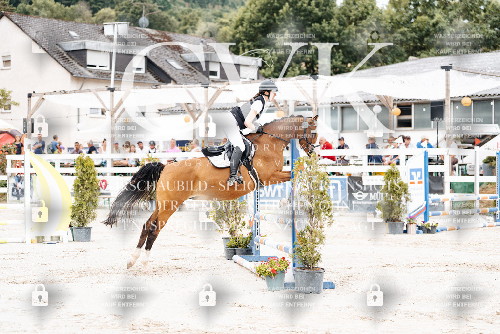 CK907871 | Turnierfotografie Pferdefotografie Trier Rheinland-Pfalz Pferdesport Reitsport Tierfotografie Sportfotografie Pferdevideo Pferdevideografie Equestrianvideography equestrianphotography  - Realisiert mit Pictrs.com