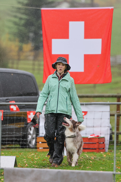2025_Rally_Obedience_SM-211 | Ich fotografiere Hundeausstellungen, Sportanlässe, Zuchtstätten, Hundezucht, Hundeportrait, Lagotto - Realisiert mit Pictrs.com
