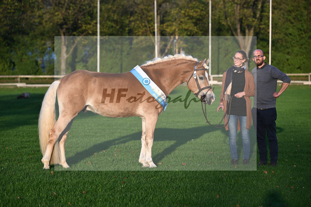 Kat-Nr. 6 Solero-D_Mahlknecht_44241164 | hf-fotografie - Realisiert mit Pictrs.com