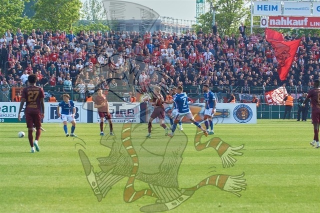 BFC Dynamo vs. FC Energie Cottbus 095 | mythos-online-redaktion